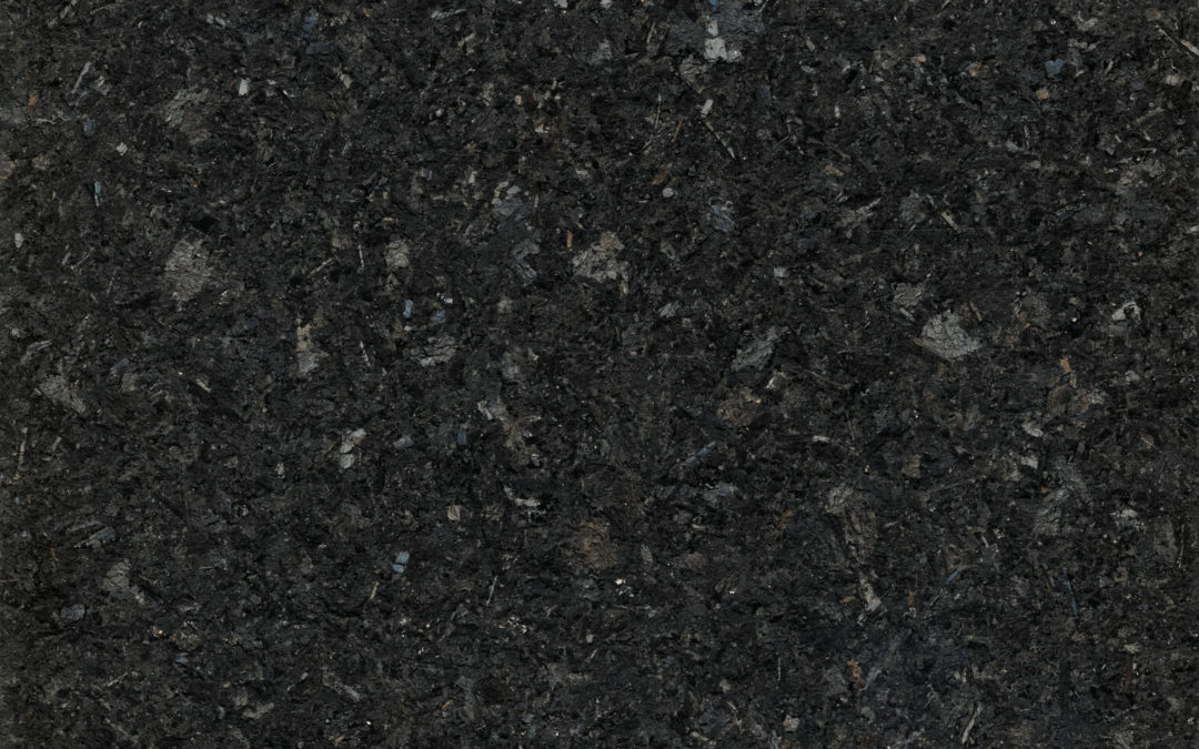Cambrian Black